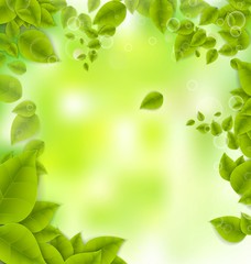 Realistic Leaves Background with  Space
