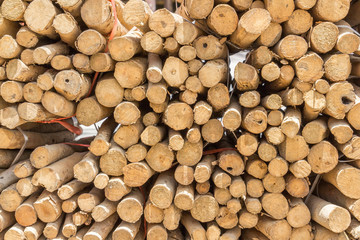 Cross section of the timber, firewood stack for the background