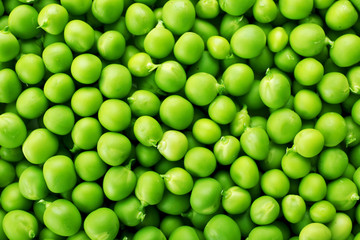 Heap of fresh green peas close up
