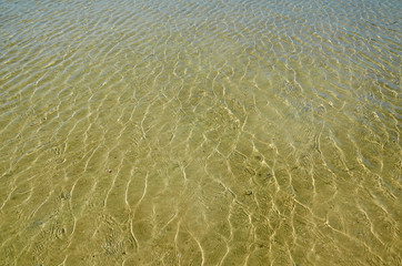 Ripples on a water surface.