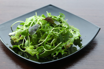 Plate of fresh mixed green salad on wooden table close up