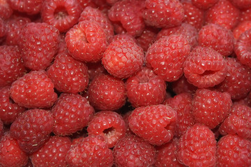 Red raspberries
