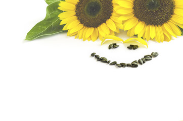 Smiling built of sunflower seeds.