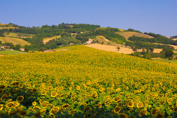 Fototapeta premium Paesaggio estivo di campagna in Umbria