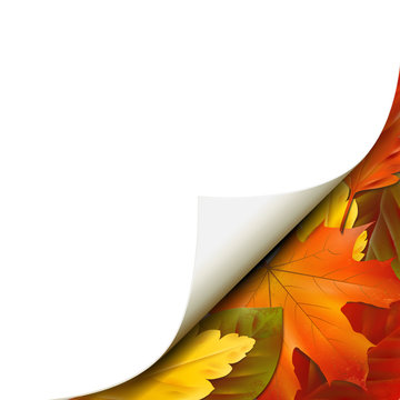 Papierecke mit Herbstblättern