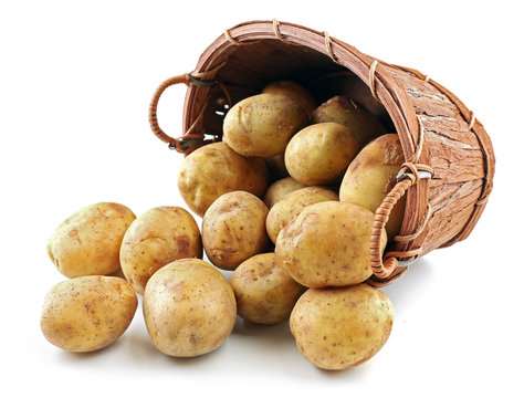 Young potatoes in basket isolated on white