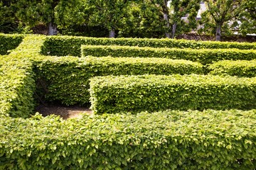 green labyrinth