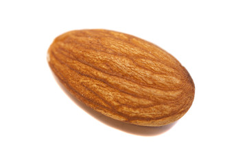 Single Almond Seed Close up Extreme Macro Shot isolated on a whi