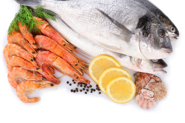 Seafood collection isolated on white