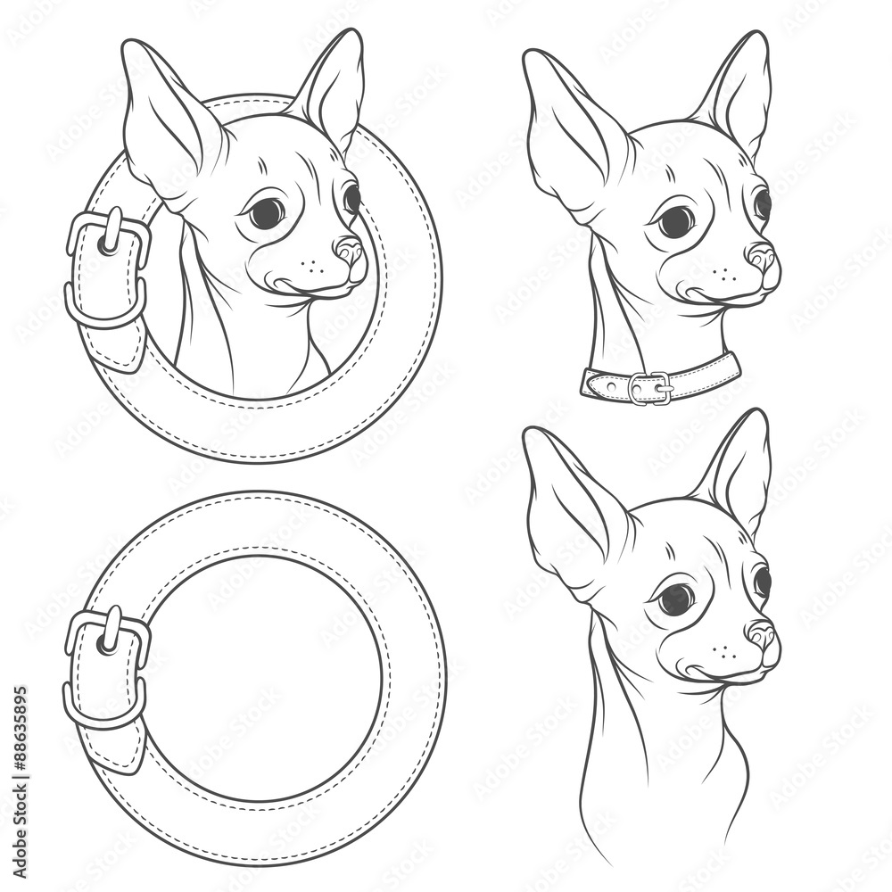 Aufkleber a set of vector drawing of the chihuahua in the collar. vector illustration. isolated objects on a w
