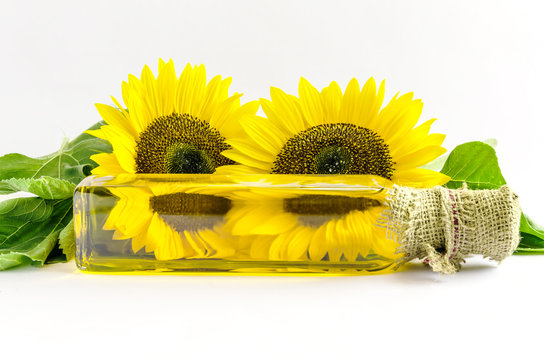 Two lying over a bottle of sunflower oil.