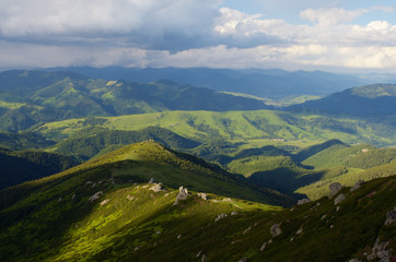 Summer landscape in the mountains