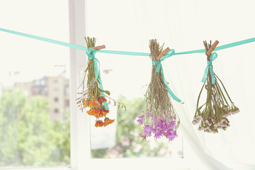 Various herbs and flowers drying on thong on light background