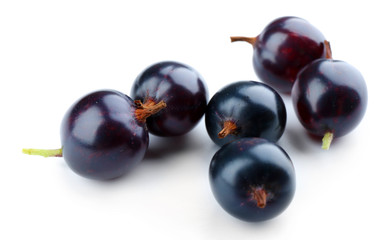 Fototapeta premium Wild black currant isolated on white