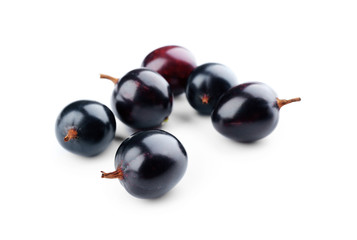 Wild black currant isolated on white