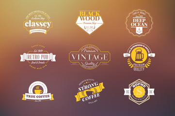 Set of Hipster Retro Badges, Labels, Logotypes. Vector Design Templates