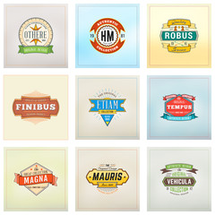 Set of Hipster Retro Badges, Labels, Logotypes. Vector Design Templates