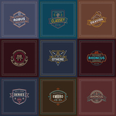 Set of Hipster Retro Badges, Labels, Logotypes. Vector Design Templates