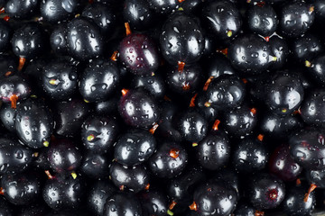 Heap of wild black currant close up