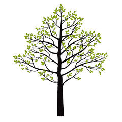 Tree and Green Leafs. Vector Illustration.