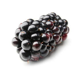 Ripe blackberry isolated on white