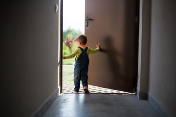 Little boy opens door
