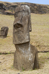 Statue (moai) at Rano Raraku (Quarry).Easter Island, Chile