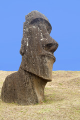 Statue (moai)  called Hinariru  at Rano Raraku (Quarry).Easter Island, Chile