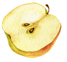 Half apple drawing by watercolor