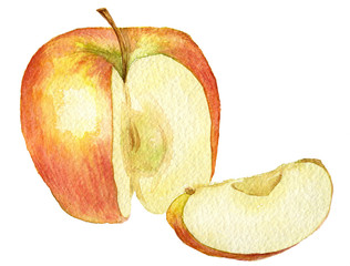 whole apple and slice drawing by watercolor