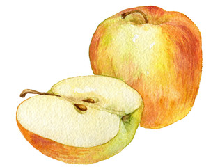 whole apple and half drawing by watercolor