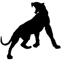 Vector black panther roars loudly2