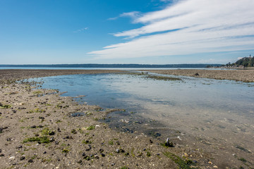 Normandy Park Stream 2
