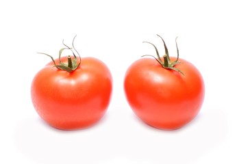 Tomatoes isolated on white background