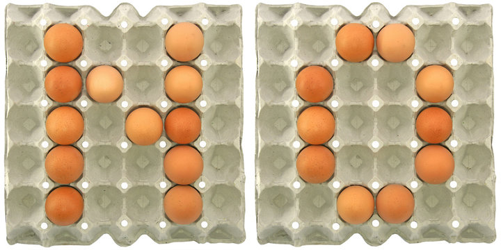 NO word from eggs in paper tray