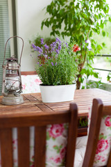 balcony in summer - Balkon im Sommer, Tisch, Stühle, Deko, Lave