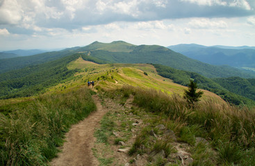 A group of tourists on a mountain trail in summer.Poland.
