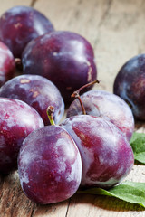 Large purple plum, selective focus