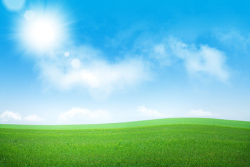 Obraz na płótnie Canvas Green grass field and blue sky