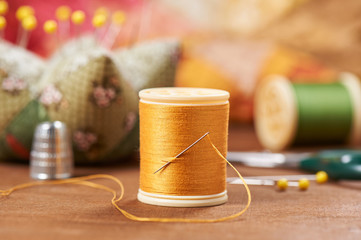 Spool of thread with needle