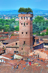 Scenic view of Lucca and Guinigi tower from Torre delle Ore, Lucca, Italy  - obrazy, fototapety, plakaty