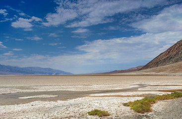 Very Rare Puddle in the Area of Badwater Pool Basin at the botto