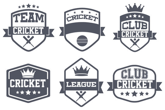 Set of Vintage Cricket Club Badge and Label