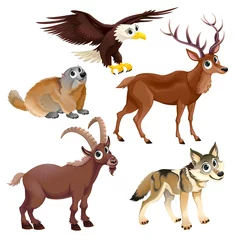 Fotobehang Grappige bergdieren, herten, adelaar, groundhog, steinbock, wolf © ddraw