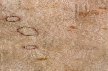 Close up photo of wood detail on exotic veneer