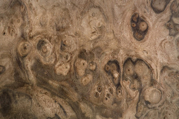 Close up photo of wood detail on exotic veneer