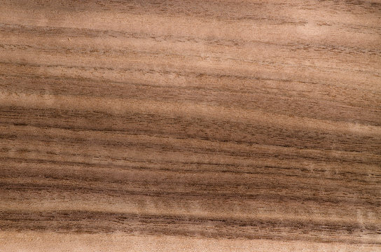 Close up photo of wood detail on exotic veneer