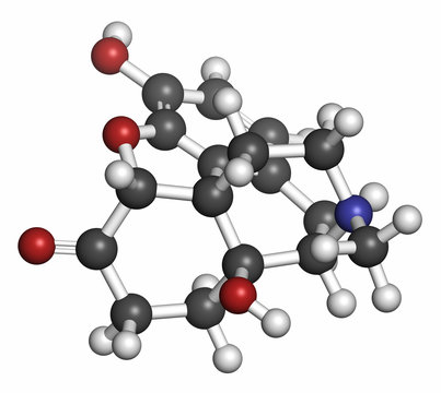 Oxymorphone opioid analgesic drug molecule. 