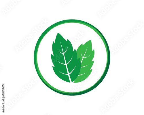 "Mint Leaves Icon" Stock image and royalty-free vector files on Fotolia.com - Pic 88653676