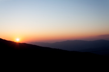 abstract tree, Soft focus,Background with pink color filter abstract tree, Soft focus,Background with color filter